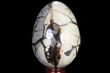 Septarian Dragon Egg Geode - Sparkly Black Crystals #81351-2